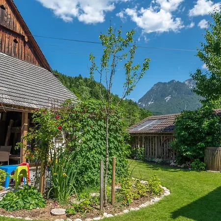Holiday home Ferienhaus Naschgarten *